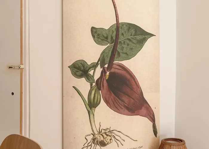 Calcada Do 50 4º * Лиссабон