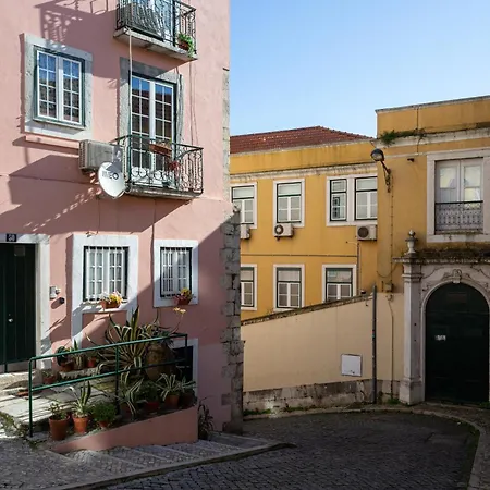 Apartment Calcada Do 50 4º