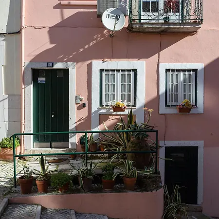 Calcada Do 50 4º *