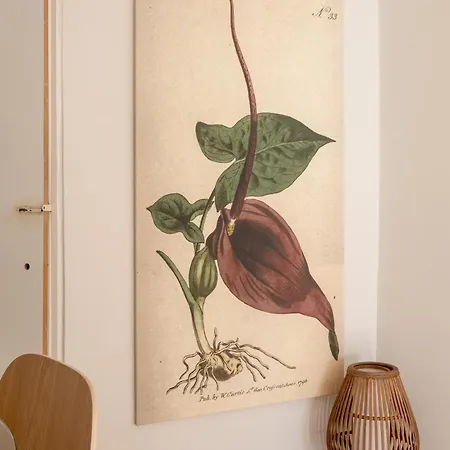 Calcada Do 50 4º * Lissabon