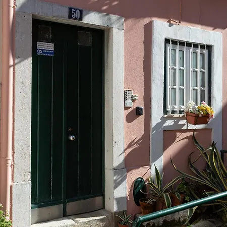 Apartment Calcada Do 50 4º